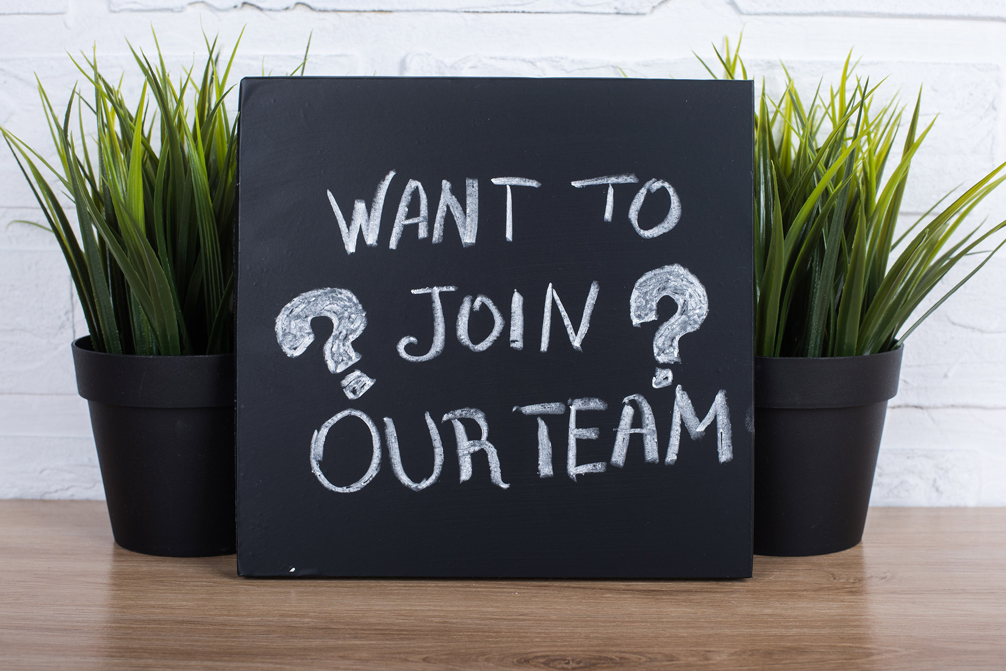 Our Opportunities